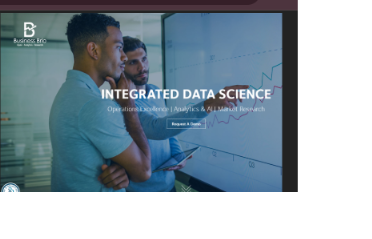 Business Brio website preview